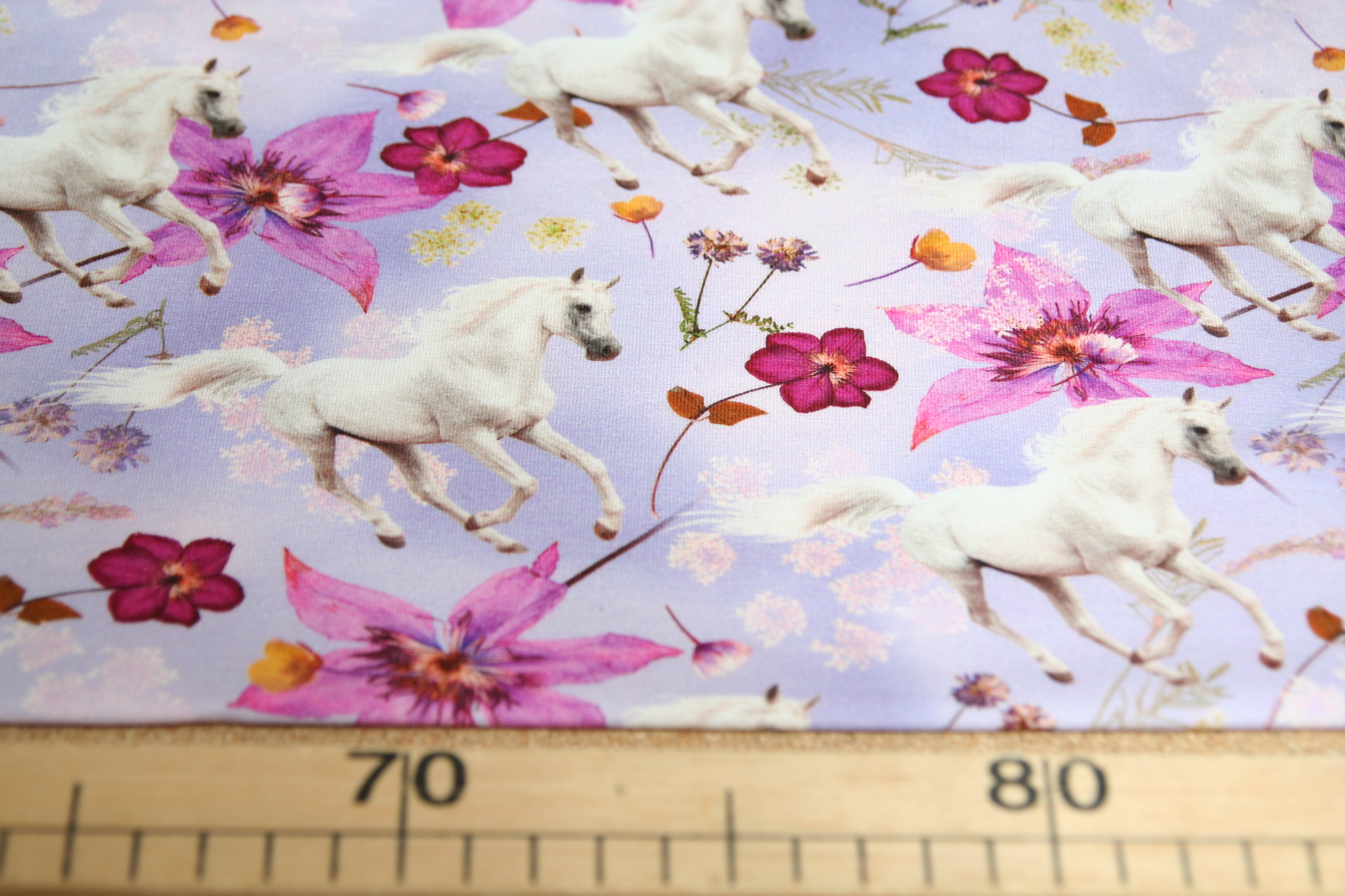 Úplet bílý kůň mezi fialovými květy