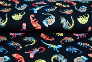 Úplet chameleoni na tmavém podkladu